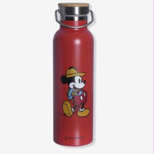 Garrafa Térmica Camp Super Mario 600ml em Inox e Bamboo